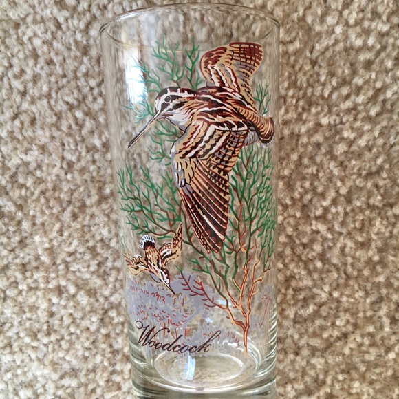 RARE! Vintage (Set of 8) Wild Fowl Glasses - Picture 7 of 9